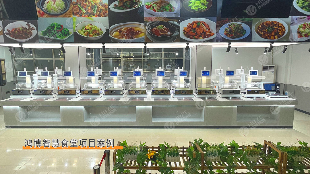 深圳鸿博智成科技有限公司