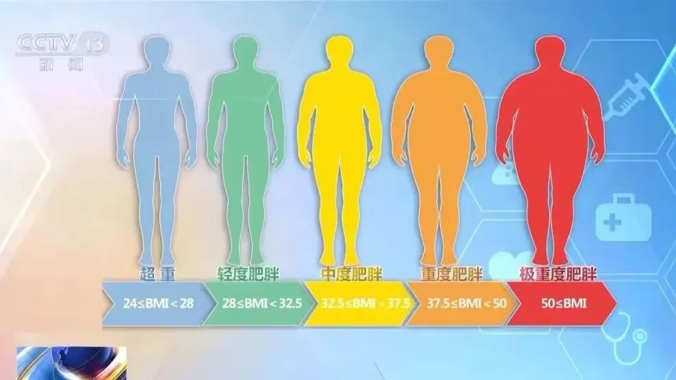 深圳鸿博智成科技有限公司